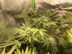 IMG_5845.jpeg