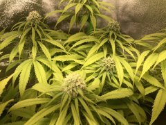 IMG_5848.jpeg