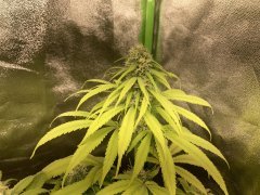 IMG_5849.jpeg