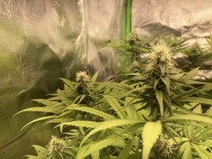 IMG_5852.jpeg