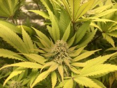IMG_5855.jpeg