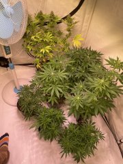 IMG_5986.jpeg