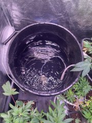 IMG_6094.jpeg