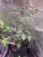 IMG_6096.jpeg