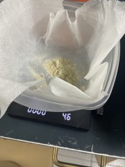160-220u GMO Première passe