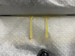 Rosin de hash - GMO - 73-160u