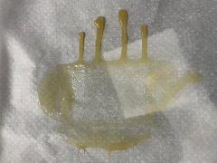 Rosin de hash - GMO - 73-160u