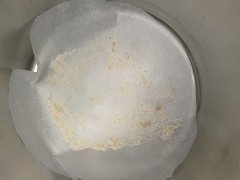 IMG_6220.jpeg