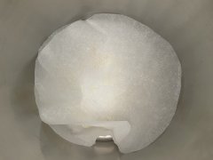 IMG_6222.jpeg