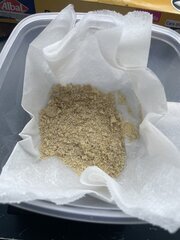 IMG_6231.jpeg