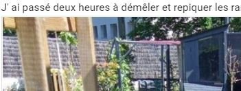 225129525_Pbasty.JPG.0d2f302c52357f7c71ddc03ca97120b4.JPG