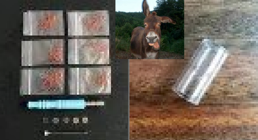 4752452.thumb.png.4652952054acb8ca84caafdf7eb414b2.png
