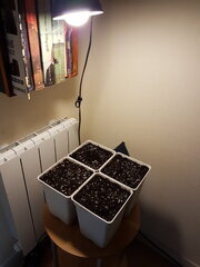 20240502_085426.jpg