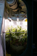 12:12 +60 - front.JPG