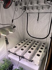 Terra Aquatica Growstream 20