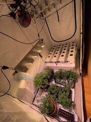 IMG_6577.jpeg
