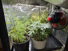 IMG_6668.jpeg