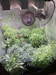 IMG_6673.jpeg