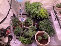 IMG_6766.jpeg