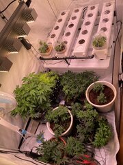 IMG_6767.jpeg