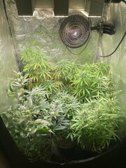 IMG_6792.jpeg