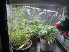 IMG_6798.jpeg