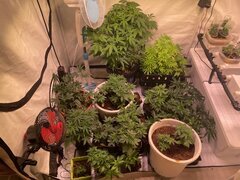 IMG_6806.jpeg