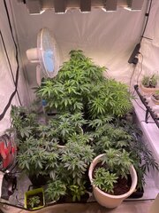 IMG_7076.jpeg