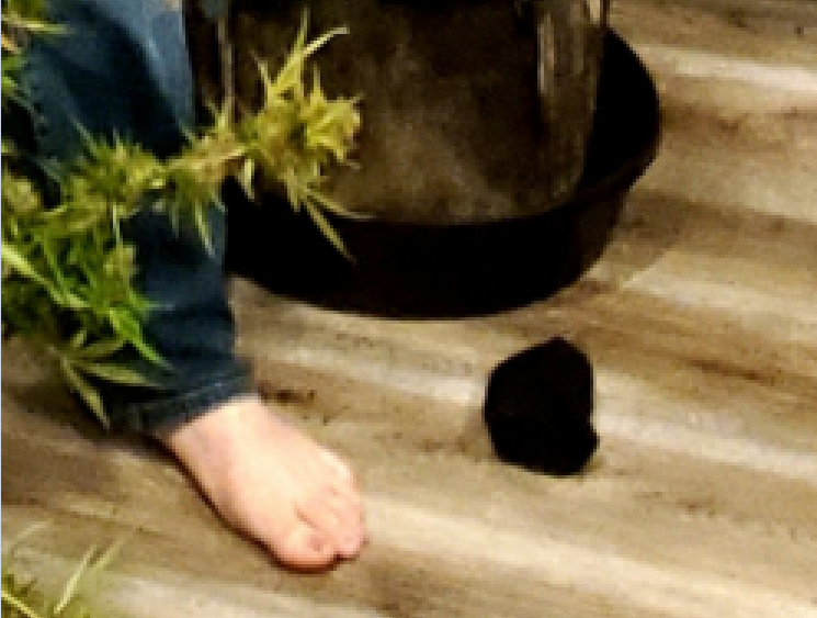 1103220474_sweedfeetfetish.png.a255592745454f02bab9b0e2802382a9.png