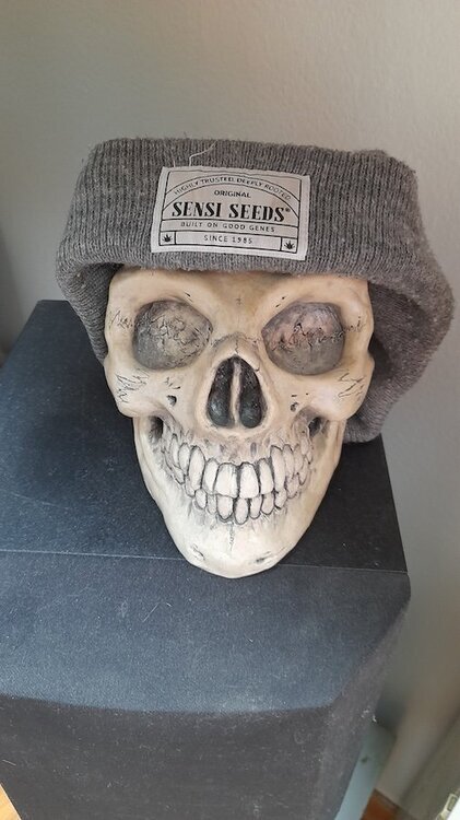 20240603_163039.jpg