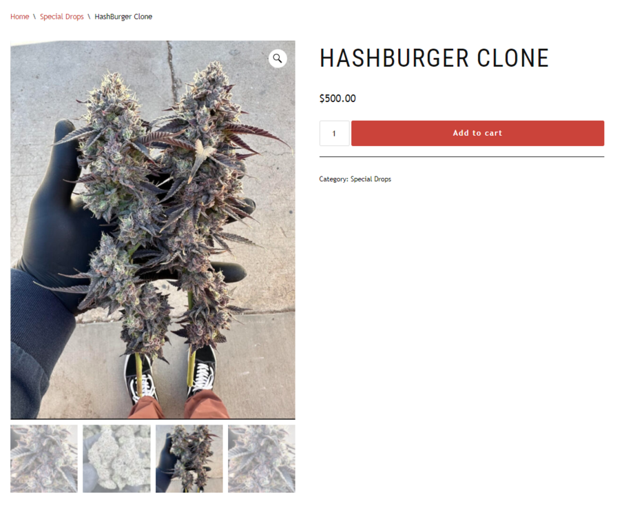 267572795_Donnyburgerseedshash.thumb.png.49aa2479adb2aed9e769fe80a48b48fe.png