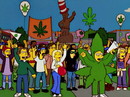 439343148_simpsonscannabiswin.gif.c659e7e618711325fede6648cbac86ff.gif