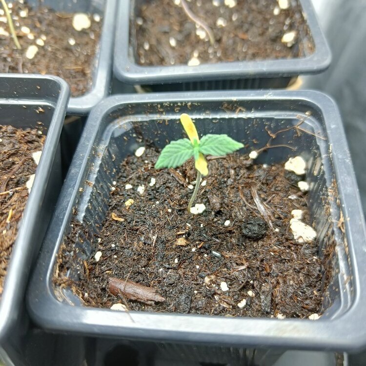 IMG20240609102048.jpg