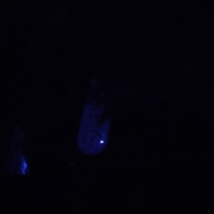 IMG_20240623_193547.jpg