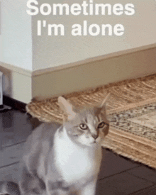 IMG_4904.gif.edb66118cd37cec51b6e69e89b3d5062.gif