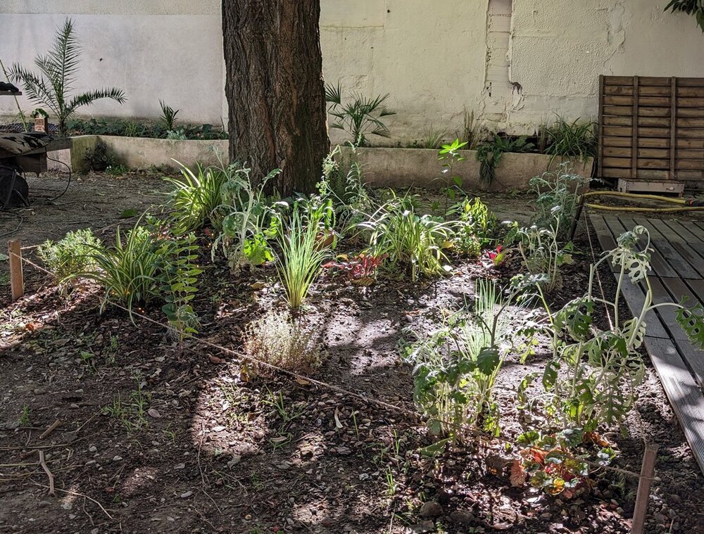 P-jardin-2.thumb.jpg.de39f722482f867b370a503aaa4cdb28.jpg