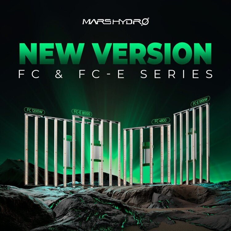 newfcfce1.0.jpg