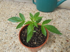 20240603_153906.jpg