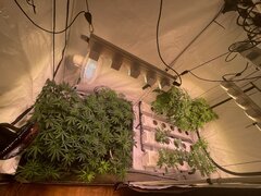 IMG_7156.jpeg