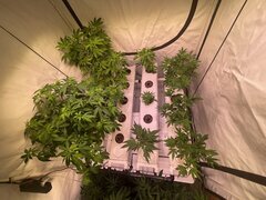 IMG_7159.jpeg