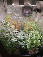 IMG_7160.jpeg