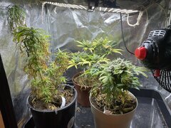 IMG_7164.jpeg