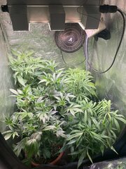 IMG_7397.jpeg