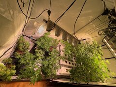 IMG_7447.jpeg