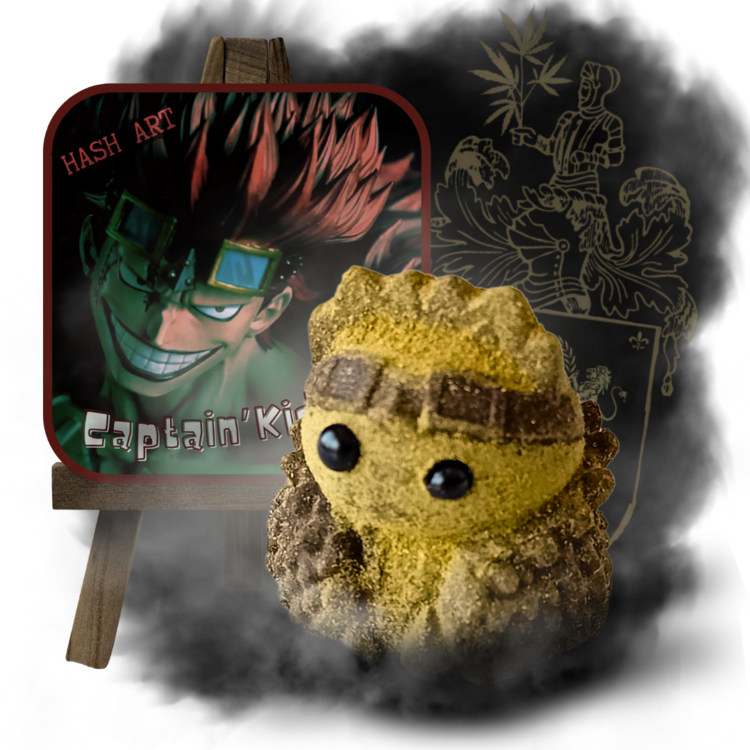 HASH ART CAPTAIN'KID (2).png