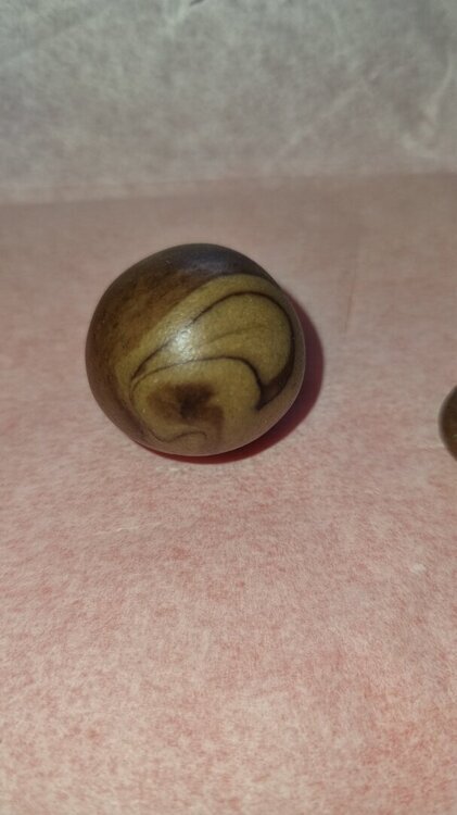20240714_155319.jpg