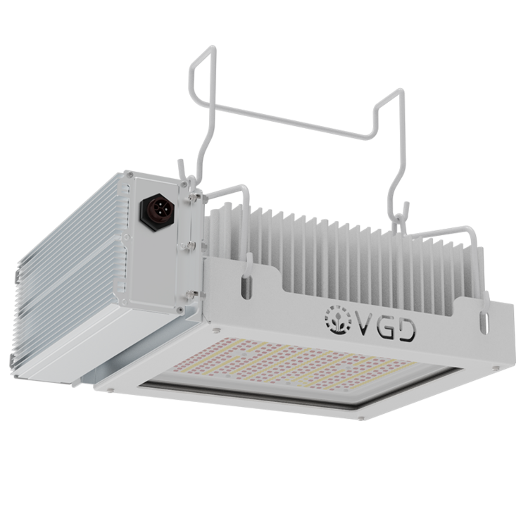 400W_photo_avantage_1-p3.thumb.png.f89fb69d88db0280ee431fc6124e8c6d.png