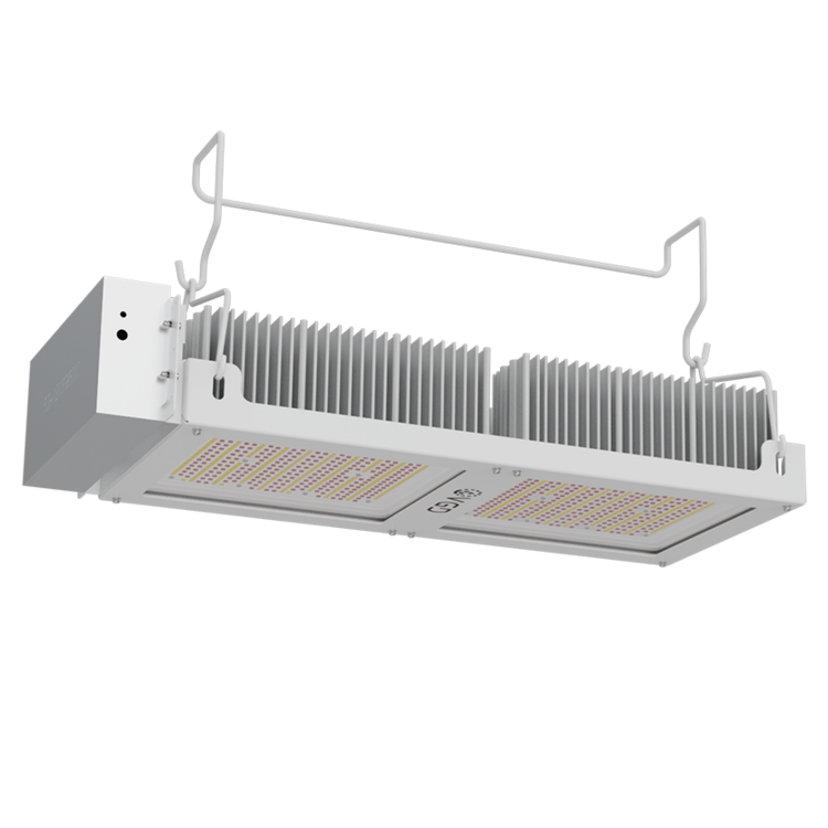 600W_photo_avantage_1-p3.thumb.png.6abd992e9808e0c4637e1132d5193cd9.png