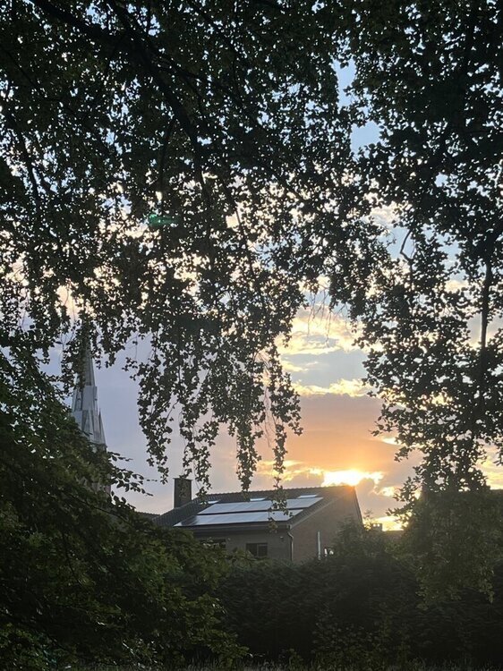 IMG_5258.jpeg