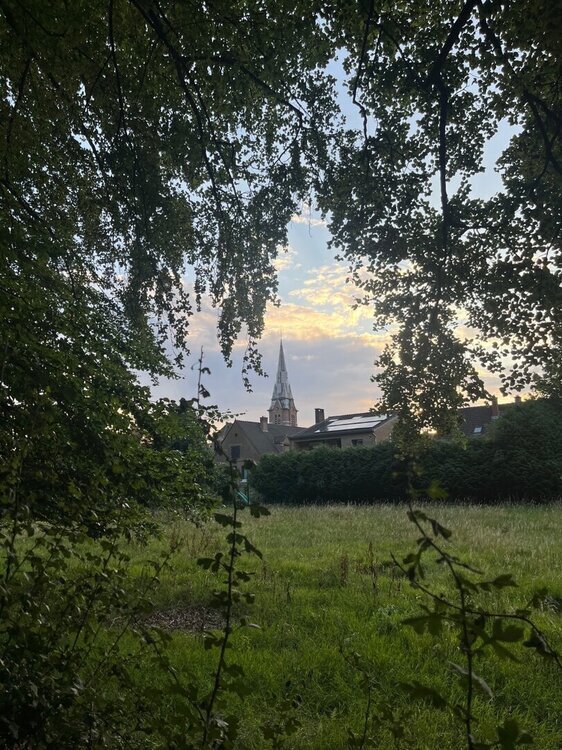 IMG_5261.jpeg